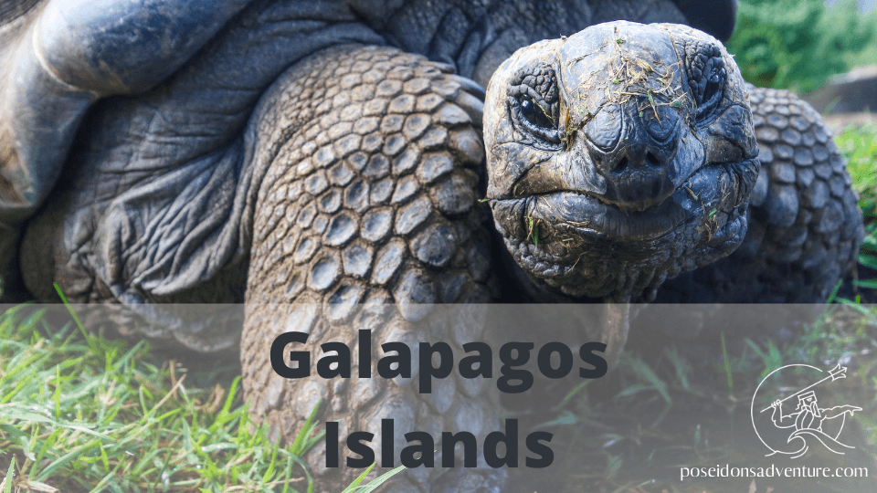 galapagos islands