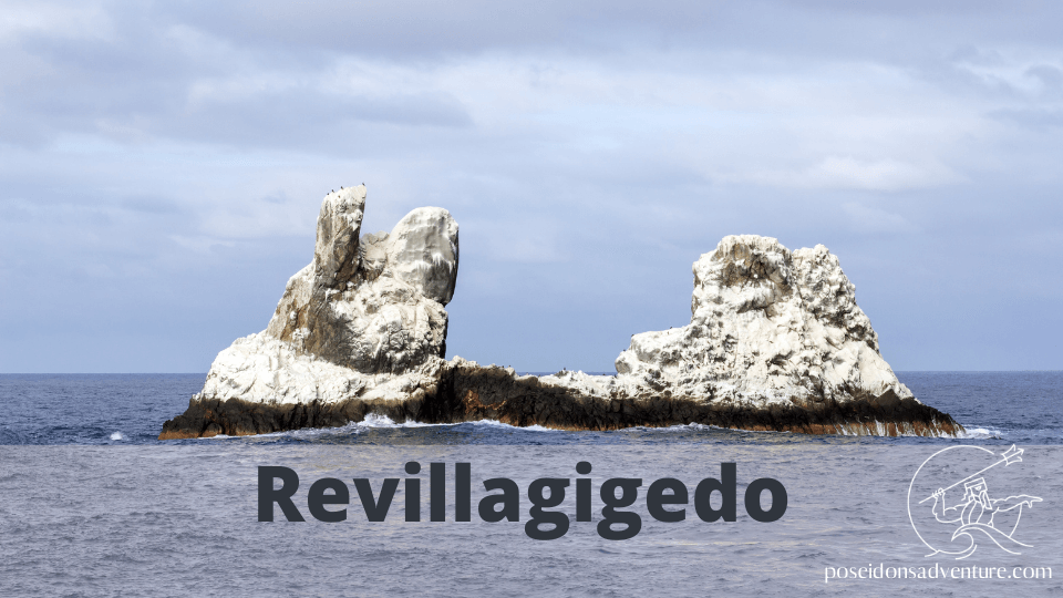 Revillagigedo