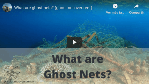 YouTube video what are ghost nets
