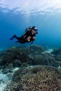 Diver and reef 1 scaled