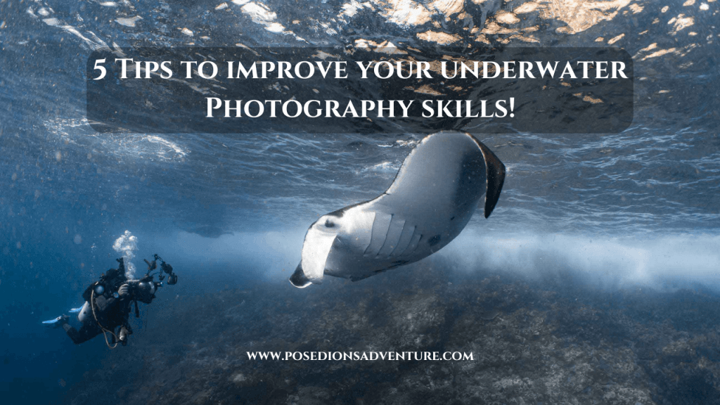 Improve underwater photography skills
