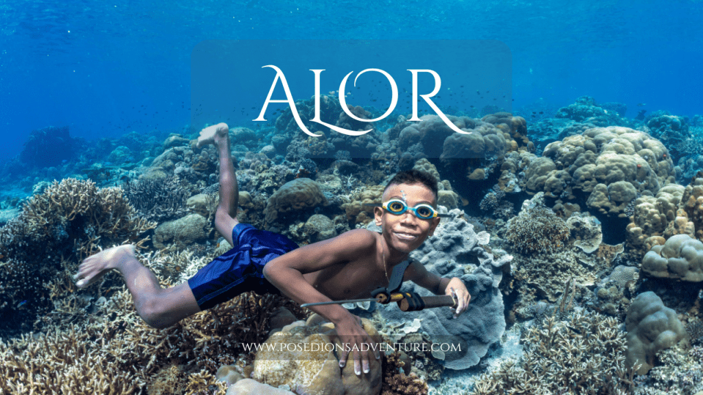 Alor
