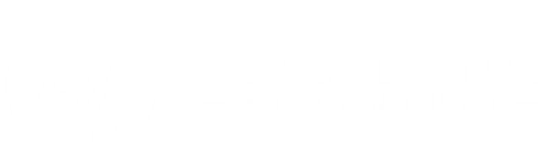 loader image