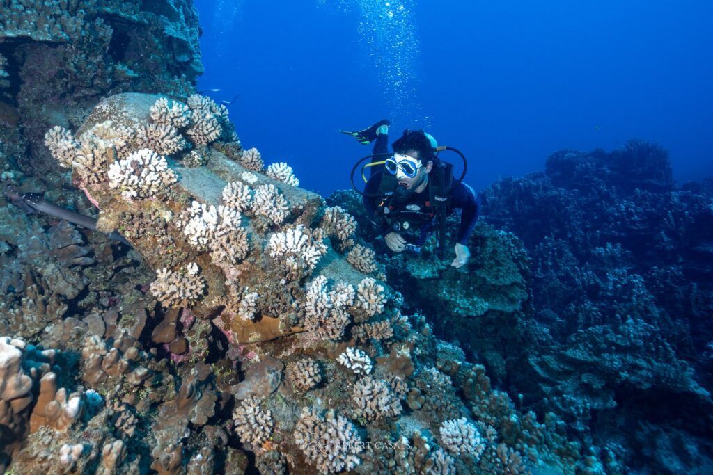 Moaand diver in easter island